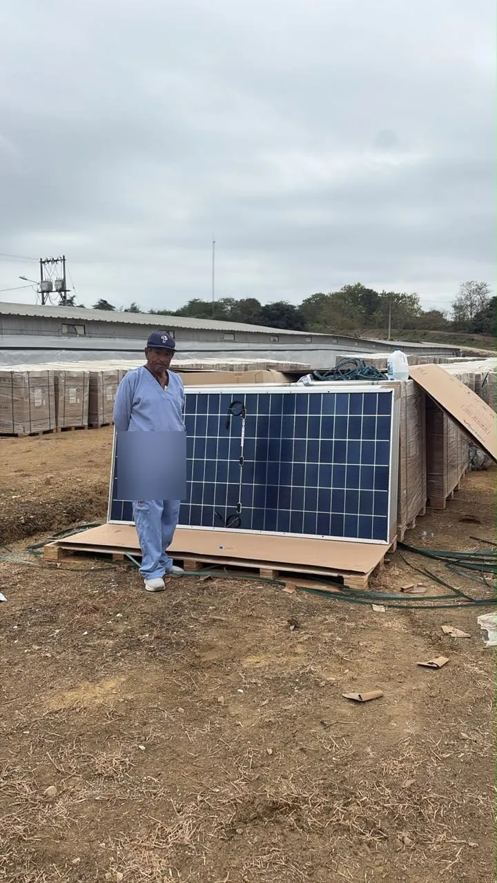 Paneles solares paletizados en obra listos para instalarse en un proyecto